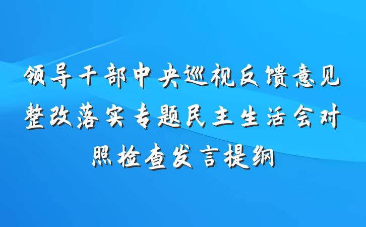 领导干部中央巡视反馈意见整改落实专题民主生活会对照检查发言提纲