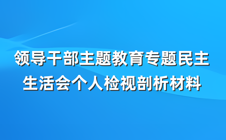 领导干部主题教育专题民主生活会个人检视剖析材料