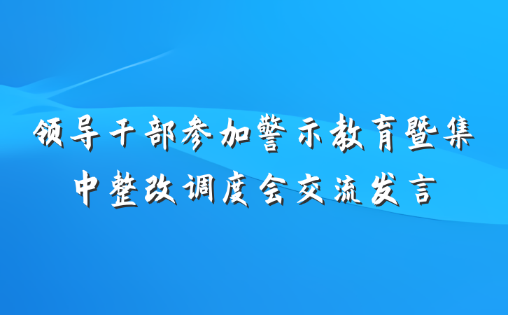 领导干部参加警示教育暨集中整改调度会交流发言