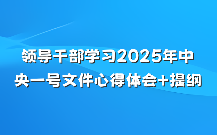领导干部学习2025年中央一号文件心得体会 提纲