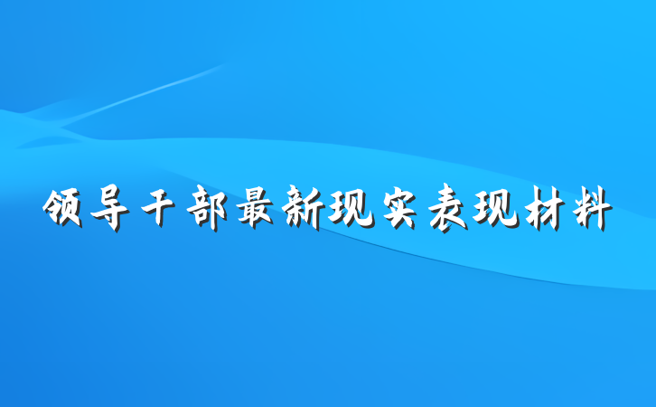 领导干部最新现实表现材料