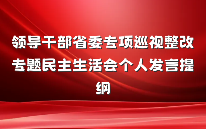 领导干部省委专项巡视整改专题民主生活会个人发言提纲