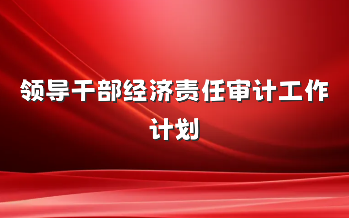 领导干部经济责任审计工作计划