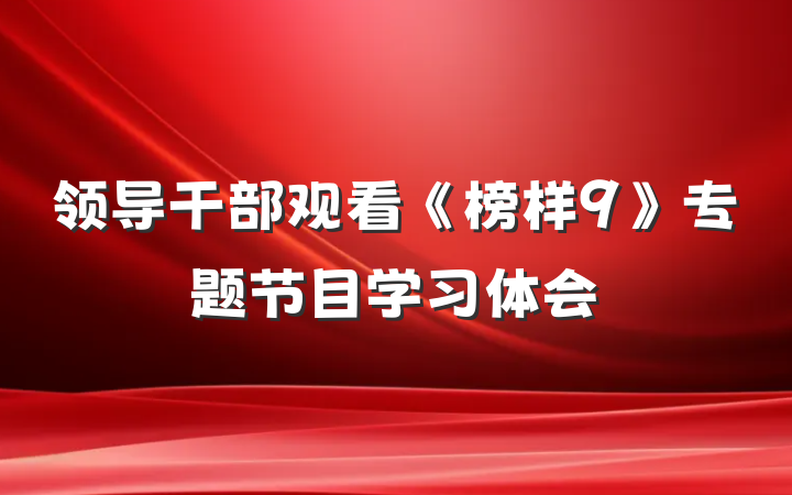 领导干部观看《榜样9》专题节目学习体会