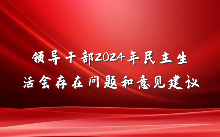 领导干部2024年民主生活会存在问题和意见建议