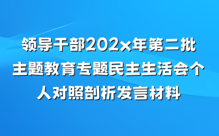 领导干部202x年第二批主题教育专题民主生活会个人对照剖析发言材料