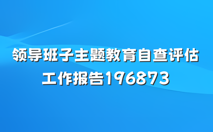 领导班子主题教育自查评估工作报告196873