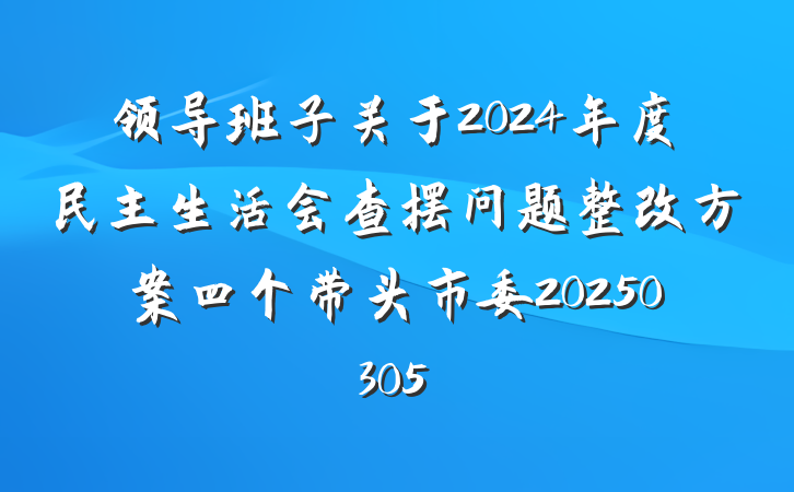 领导班子关于2024年度民主生活会查摆问题整改方案四个带头市委20250305