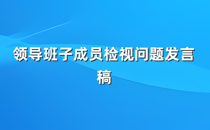 领导班子成员检视问题发言稿