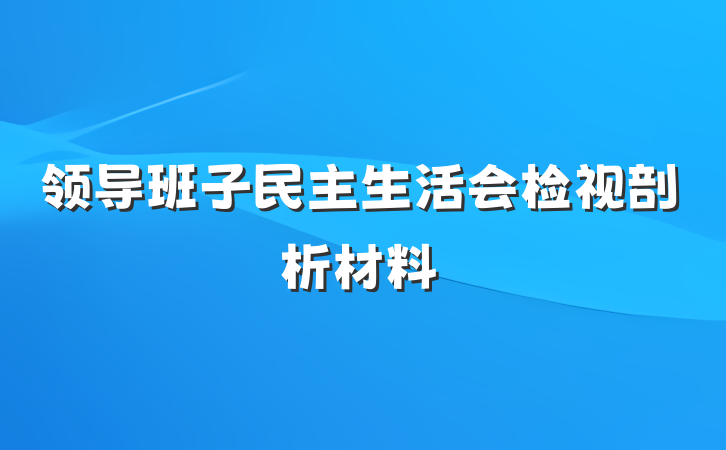 领导班子民主生活会检视剖析材料