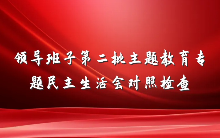 领导班子第二批主题教育专题民主生活会对照检查