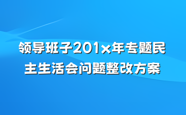 领导班子201x年专题民主生活会问题整改方案