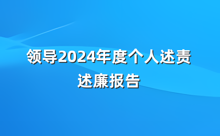 领导2024年度个人述责述廉报告