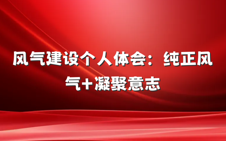 风气建设个人体会：纯正风气 凝聚意志