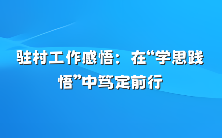 驻村工作感悟：在“学思践悟”中笃定前行