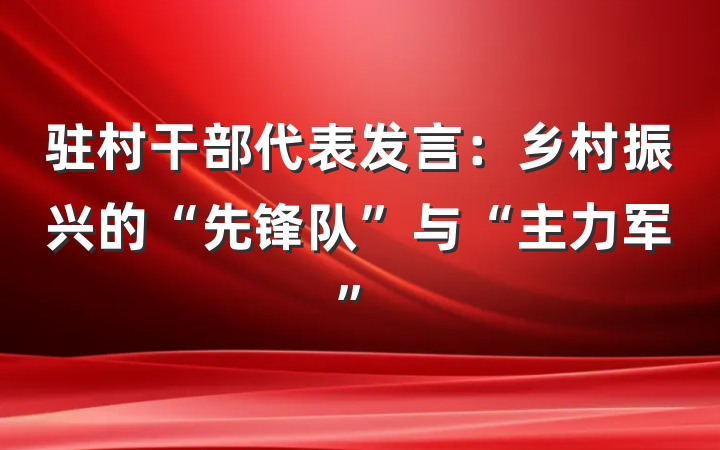 驻村干部代表发言：乡村振兴的“先锋队”与“主力军”