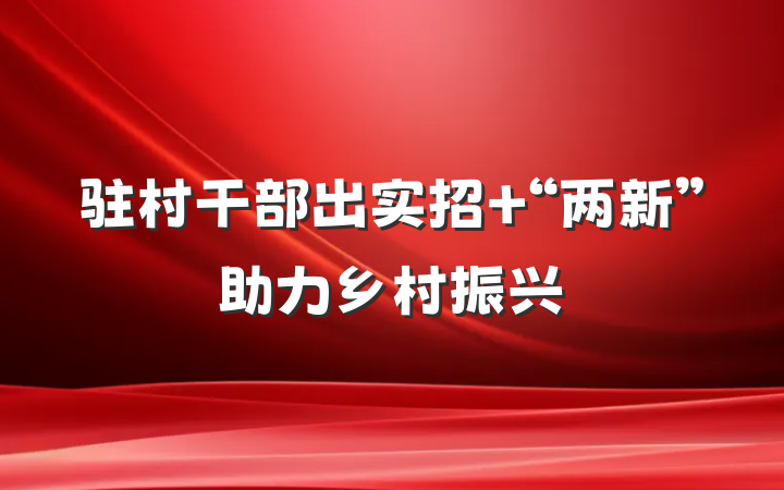 驻村干部出实招 “两新”助力乡村振兴