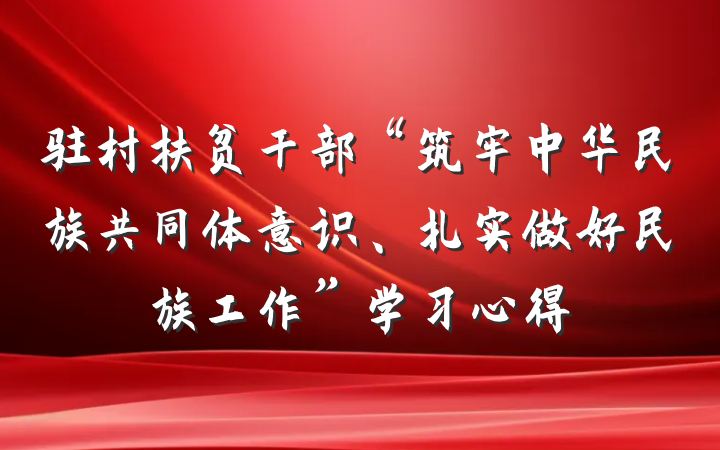 驻村扶贫干部“筑牢中华民族共同体意识、扎实做好民族工作”学习心得