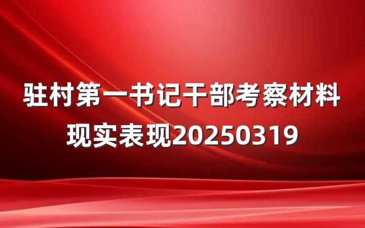 驻村第一书记干部考察材料现实表现20250319