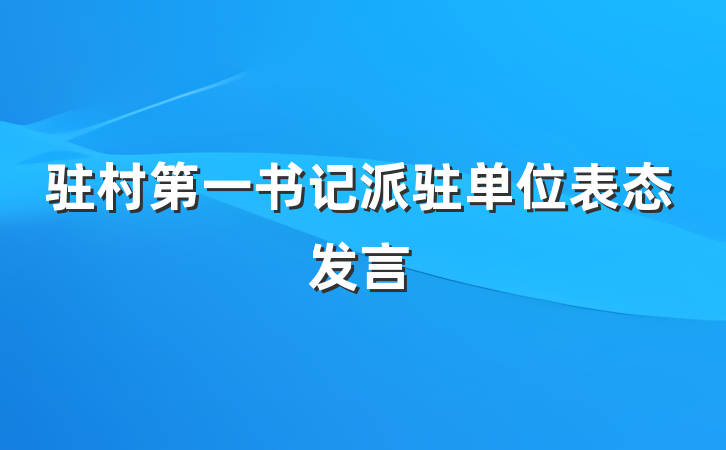 驻村第一书记派驻单位表态发言