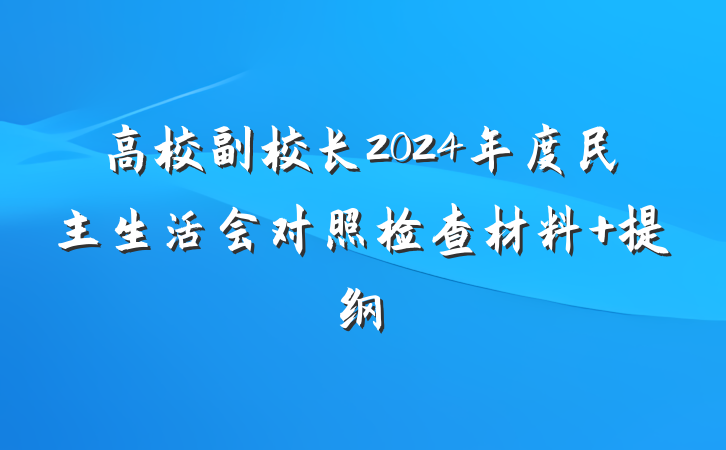 高校副校长2024年度民主生活会对照检查材料 提纲