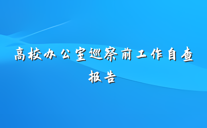 高校办公室巡察前工作自查报告