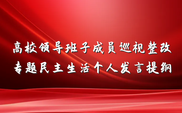 高校领导班子成员巡视整改专题民主生活个人发言提纲