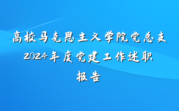 高校马克思主义学院党总支2024年度党建工作述职报告