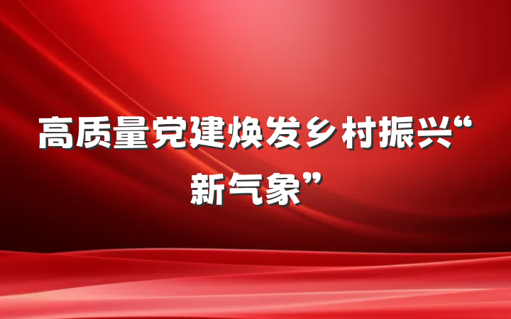 高质量党建焕发乡村振兴“新气象”