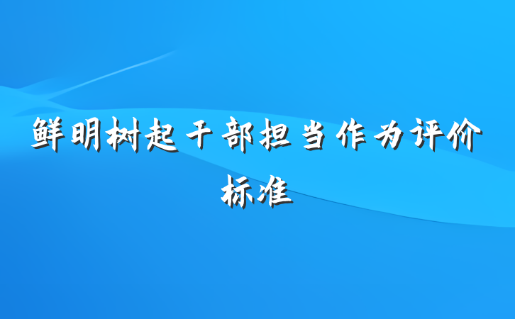 鲜明树起干部担当作为评价标准