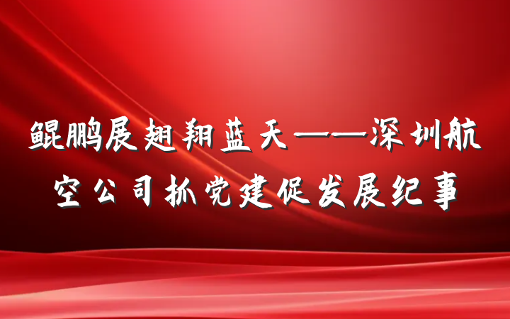 鲲鹏展翅翔蓝天——深圳航空公司抓党建促发展纪事