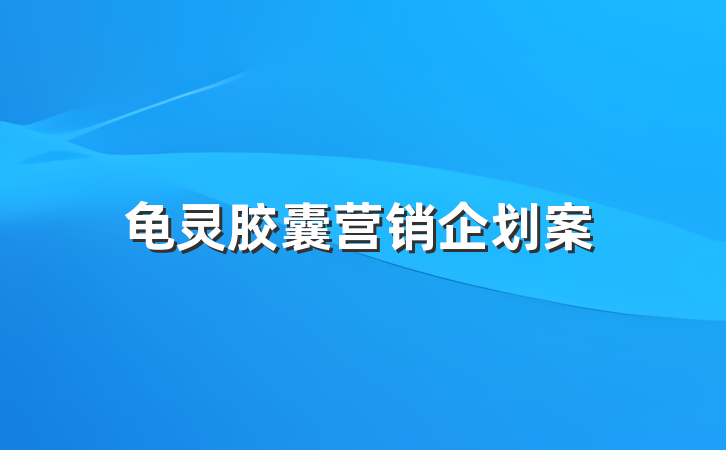 龟灵胶囊营销企划案