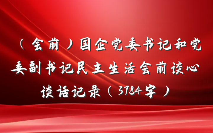 （会前）国企党委书记和党委副书记民主生活会前谈心谈话记录（3784字）