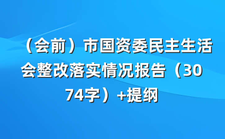 （会前）市国资委民主生活会整改落实情况报告（3074字） 提纲