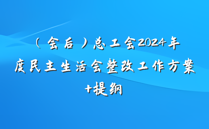 （会后）总工会2024年度民主生活会整改工作方案 提纲
