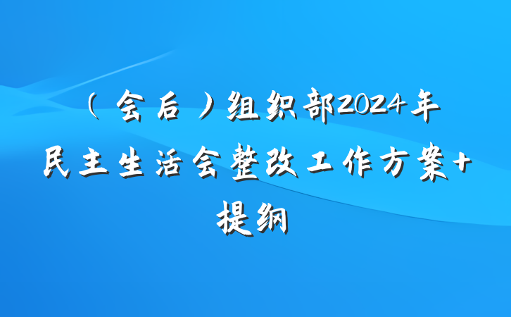 （会后）组织部2024年民主生活会整改工作方案 提纲