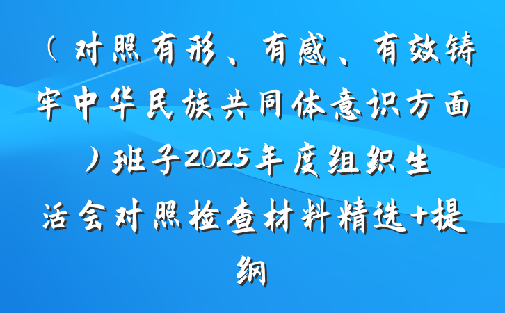 （对照有形、有感、有效铸牢中华民族共同体意识方面）班子2025年度组织生活会对照检查材料精选 提纲