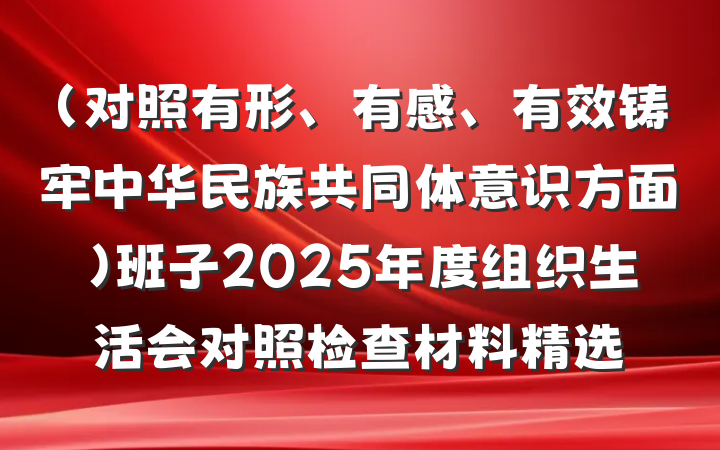 （对照有形、有感、有效铸牢中华民族共同体意识方面）班子2025年度组织生活会对照检查材料精选