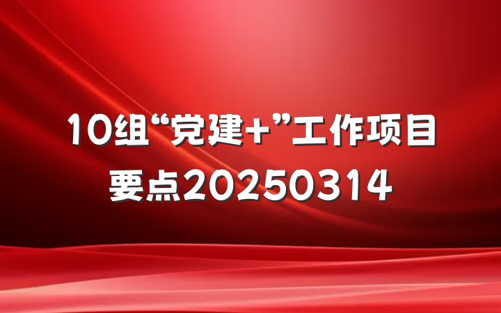 10组“党建+”工作项目要点20250314