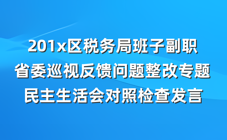 201x区税务局班子副职省委巡视反馈问题整改专题民主生活会对照检查发言