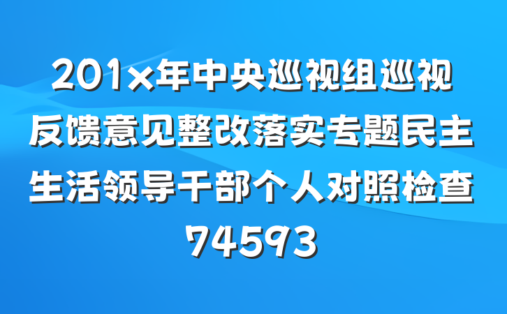 201x年中央巡视组巡视反馈意见整改落实专题民主生活领导干部个人对照检查74593
