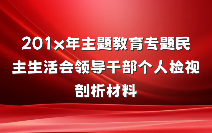 201x年主题教育专题民主生活会领导干部个人检视剖析材料