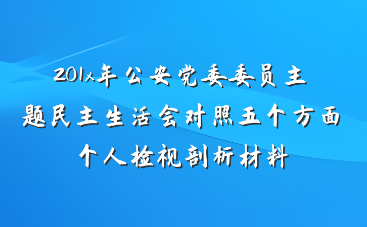 201x年公安党委委员主题民主生活会对照五个方面个人检视剖析材料