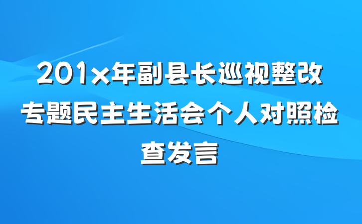 201x年副县长巡视整改专题民主生活会个人对照检查发言