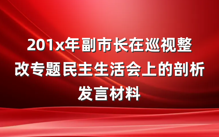201x年副市长在巡视整改专题民主生活会上的剖析发言材料