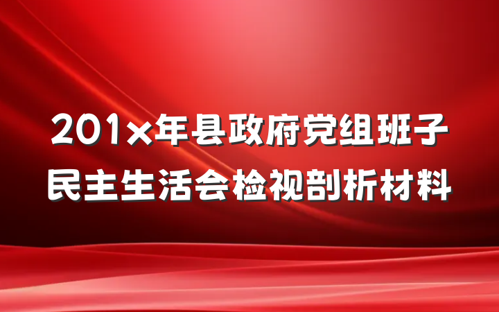 201x年县政府党组班子民主生活会检视剖析材料