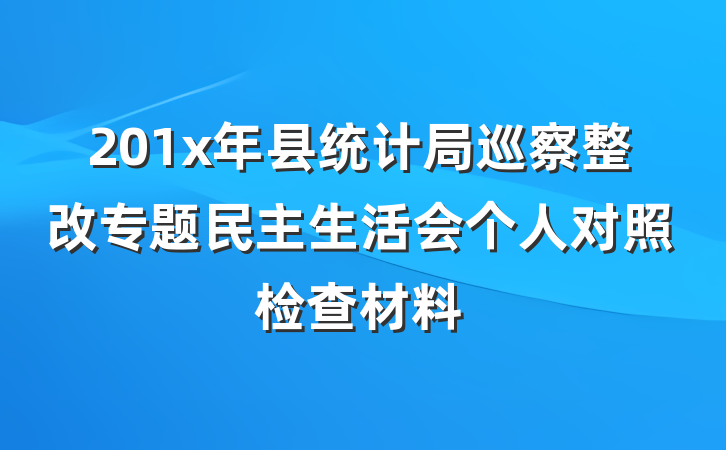 201x年县统计局巡察整改专题民主生活会个人对照检查材料