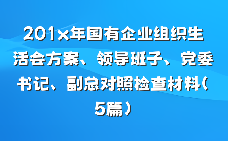 201x年国有企业组织生活会方案、领导班子、党委书记、副总对照检查材料（5篇）