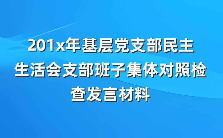 201x年基层党支部民主生活会支部班子集体对照检查发言材料