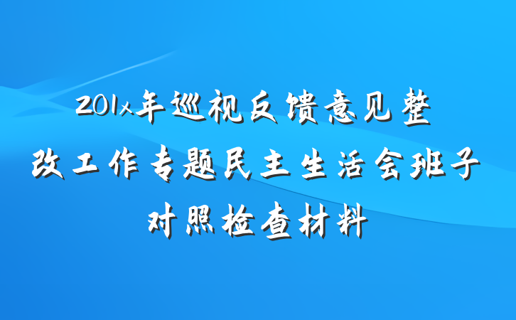 201x年巡视反馈意见整改工作专题民主生活会班子对照检查材料
